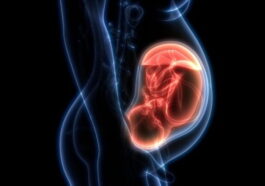 Et si le risque de développer un cancer était déjà déterminé avant la naissance ?