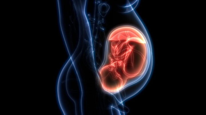 Et si le risque de développer un cancer était déjà déterminé avant la naissance ? 2 Et si le risque de developper un cancer etait deja