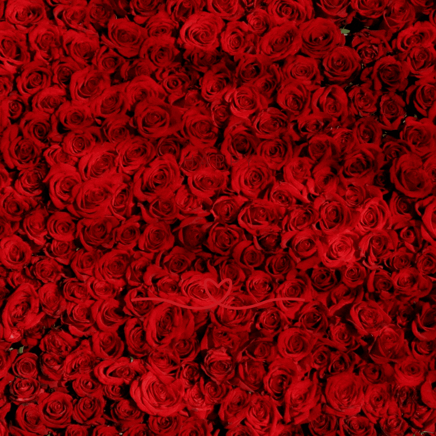 Joyeux Saint-Valentin 2026 : images et messages romantiques à partager pour la fête des amoureux 25 gif saint-valentin