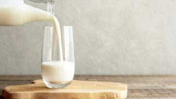 Lait et fromages égyptiens contaminés par Escherichia coli : un quart des échantillons touchés 18 Immagine