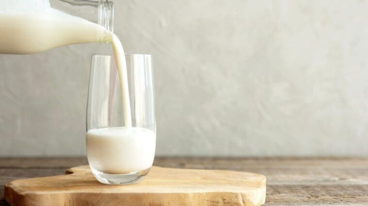 Lait et fromages égyptiens contaminés par Escherichia coli : un quart des échantillons touchés 1 Immagine