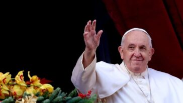 Le Pape François face à un risque de bactériémie : qu'est-ce que cette infection sanguine qui peut conduire à la septicémie ? 18 Image
