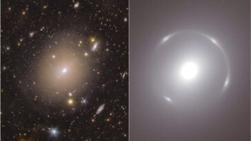 Le télescope spatial Euclid capture un parfait anneau d'Einstein : la clé d'une nouvelle galaxie 29 ESA/Euclide/Euclid Consortium/NASA | L'anello di Einstein attorno alla galassia NGC 6505