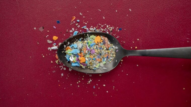 Les microplastiques obstruent les vaisseaux sanguins du cerveau comme des caillots : une étude révélatrice 1 Immagine