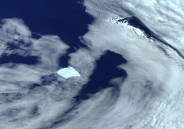 L'iceberg A23a visto dallo spazio. Credit: EUMETSAT