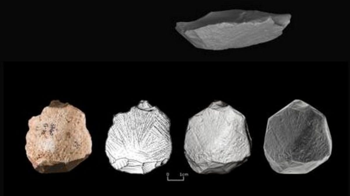 Pourquoi ces gravures préhistoriques marquent-elles un tournant dans l'évolution de l'homme 2 Credit: E. Ostrovsky / M. Smelansky / E. Paixao and L. Schunk
