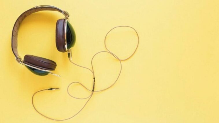 Pourquoi mille artistes viennent de sortir un album silencieux : toutes les chansons sont inouïes 1 Pourquoi mille artistes viennent de sortir un album silencieux : toutes les chansons sont inouïes