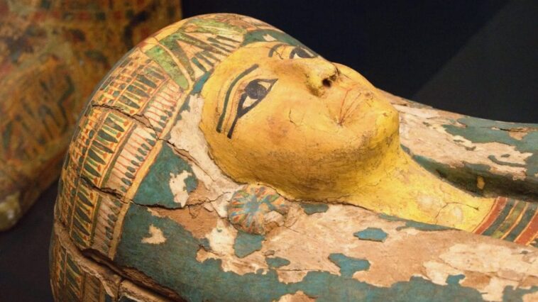 Quel est l'odeur des momies de l'Ancien Égypte ? Une curiosité millénaire révélée par des scientifiques 1 Image