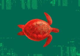 Tout ce que vous devez savoir sur le "mode tortue" de WhatsApp : la nouvelle théorie qui va révolutionner l'application