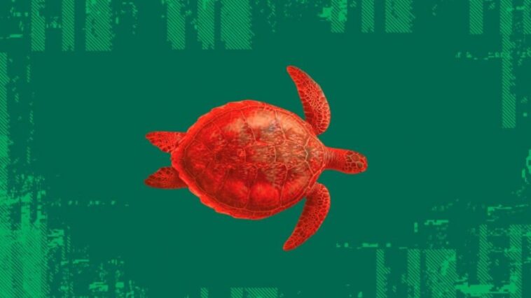 Tout ce que vous devez savoir sur le "mode tortue" de WhatsApp : la nouvelle théorie qui va révolutionner l'application 1 Tout ce que vous devez savoir sur le "mode tortue" de WhatsApp : la nouvelle théorie qui va révolutionner l'application