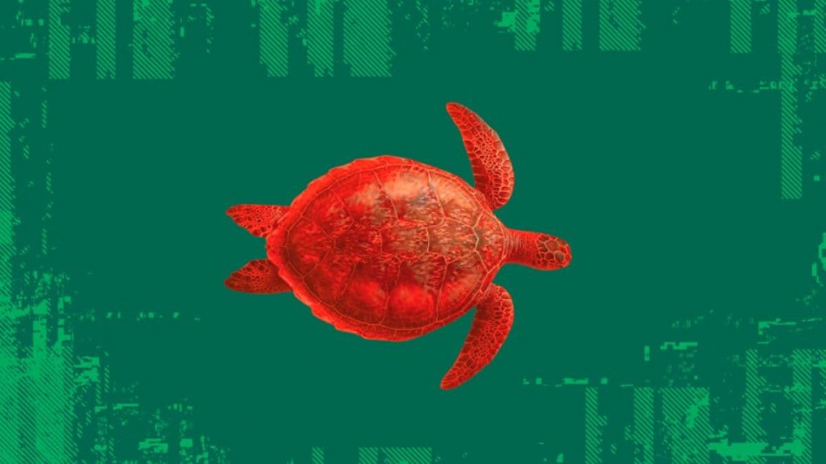 Tout ce que vous devez savoir sur le "mode tortue" de WhatsApp : la nouvelle théorie qui va révolutionner l'application 2 Image