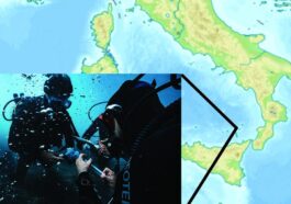 Un micro-organisme découvert en Sicile pourrait stopper la crise climatique : voici pourquoi les scientifiques l'appellent "Chonkus" 14 "Chonkus", un nuovo microrganismo scoperto in Sicilia, al largo dell'isola di Vulcano, può aiutare a fermare la crisi climatica: ecco come / Credit: Applied Environmental Microbiology