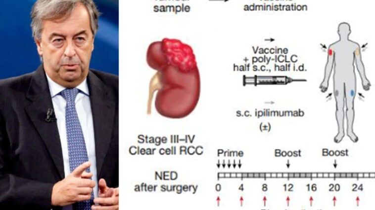 Un nouveau vaccin contre le cancer empêche la récidive du cancer du rein, Burioni : "Résultat exceptionnel" 1 Un nuovo vaccino contro il cancro previene la recidiva del tumore al rene, Burioni: “Risultato eccezionale”