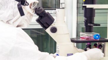 Une nouvelle chance de traitement du neuroblastome chez les enfants : les résultats de l'étude de l'Hôpital Bambino Gesù 10 OSPEDALE BAMBINO GESU' | Foto dal comunicato stampa