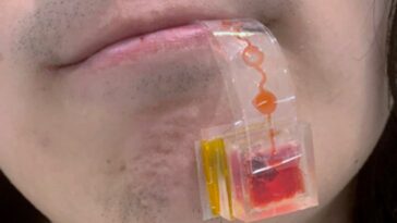 Voir de la nourriture dans les jeux VR ? Ce capteur mettra le vrai goût dans votre bouche 27 1740879014 Voir De La Nourriture Dans Les Jeux Vr Ce.jpeg