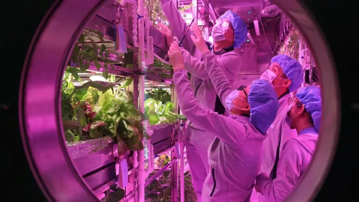 Les vaisseaux spatiaux pourraient avoir besoin d'être plus "sales" pour garantir la santé des astronautes 4 1740945459 350 Les vaisseaux spatiaux pourraient avoir besoin detre plus sales pour.webp