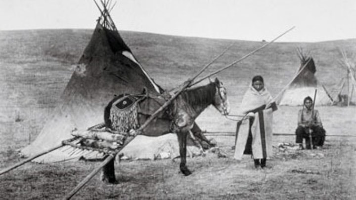 Depuis combien de temps utilisons-nous des véhicules pour transporter nos biens ? Une étude révèle 22 000 ans ! 3 Travois