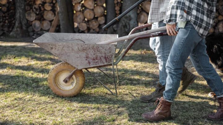 Depuis combien de temps utilisons-nous des véhicules pour transporter nos biens ? Une étude révèle 22 000 ans ! 4 Chariot à main pour le transport de choses