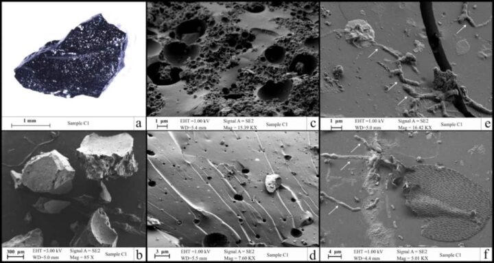 Le cerveau d'un homme s'est transformé en verre après une éruption volcanique 3 1741369791 385 Le cerveau dun homme sest transforme en verre apres une