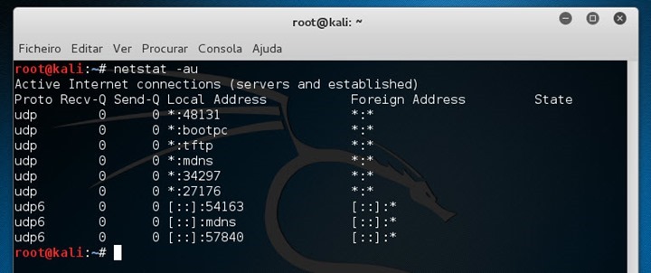 netstat_02 netstat_02