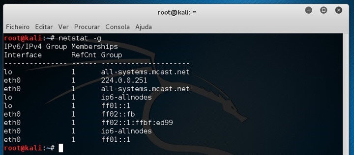 netstat_06 netstat_06