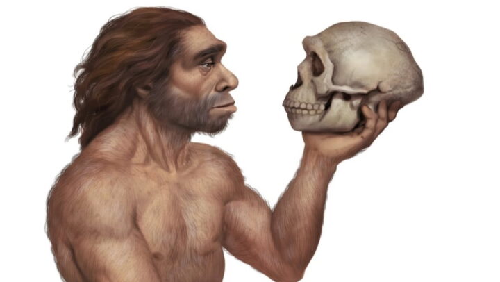 Pourquoi les êtres humains modernes sont-ils capables de parler ? 3 1742252846 616 Pourquoi les etres humains modernes sont ils capables de parler