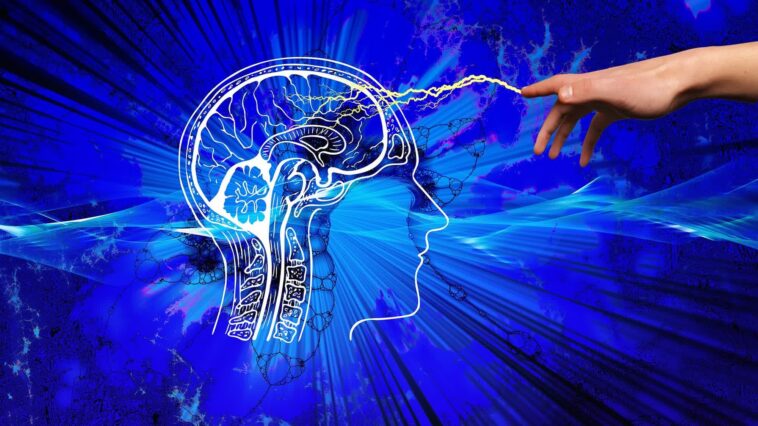 Microsoft s'associe à une start-up suisse pour créer une IA simulant le cerveau humain 1 Microsoft S'associe à Une Start Up Suisse Pour Créer Une Ia