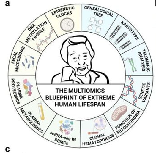 BiorXiv| Analyses réalisées sur Madame Maria