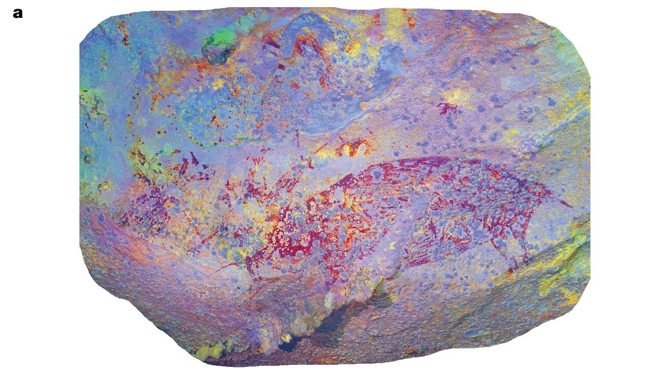 Cette croix gravée sur une roche pourrait être l'œuvre d'art la plus ancienne jamais découverte : une datation incroyable 4 La peinture rupestre de plus de 51 200 ans découverte dans l'île de Sulawesi. Crédit: Oktaviana et al., Nature, 2024
