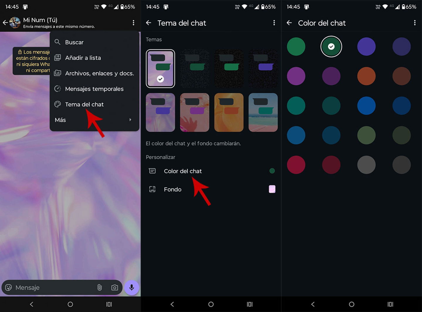 Sélectionner la couleur du chat WhatsApp