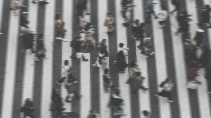 Il existe une explication scientifique au chaos causé par les piétons sur les trottoirs et les passages piétons 3 Flux de piétons
