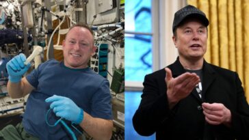 Astronautes bloqués depuis 9 mois sur l'ISS, Wilmore soutient Musk : "Abandonnés par Biden pour des raisons politiques" 22 À gauche, l'astronaute Butch Wilmore bloqué depuis 9 mois sur l'ISS, à droite Elon Musk. Crédit : NASA/Getty