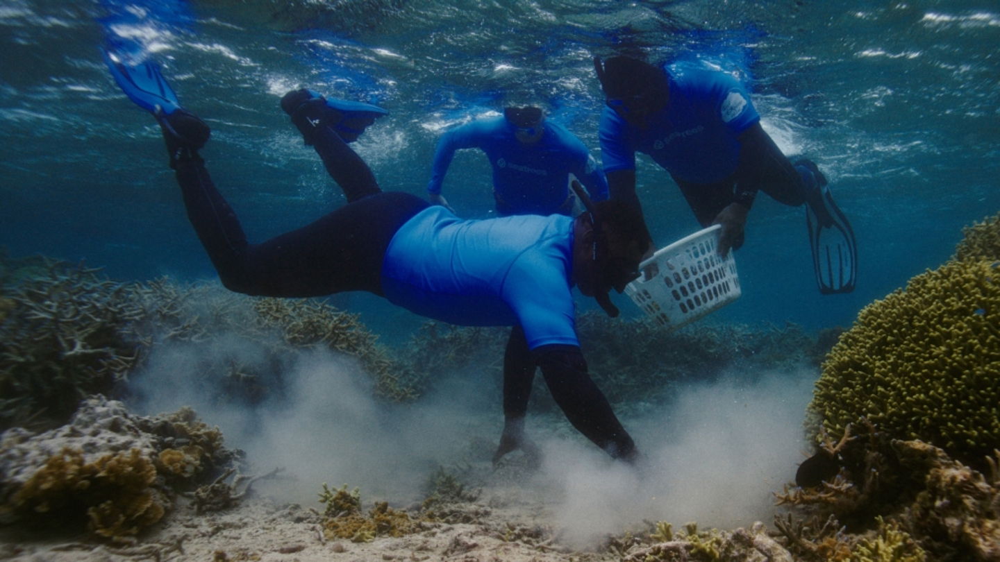 Au-delà du recyclage : comment Samsung utilise ses caméras Galaxy pour sauver les coraux 3 Samsung-Mobile-S24-Ultra-Ocean-Mode-A-Collaboration-With-Seatrees_Coral-Reefs_main2