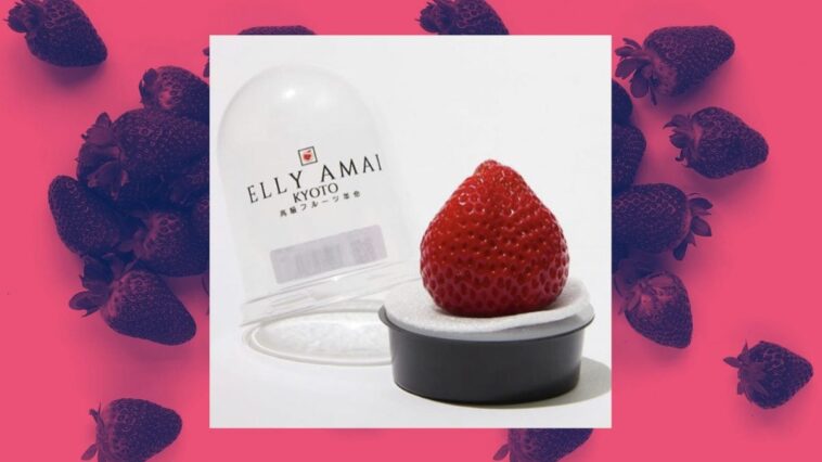 Cette fraise unique est vendue à plus de 18 euros : pourquoi la Tochiakika est-elle si chère ? 1 Cette fraise unique est vendue à plus de 18 euros : pourquoi la Tochiakika est-elle si chère ?