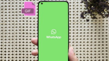 Comment créer un GIF pour WhatsApp à partir d'une vidéo de votre mobile 7 Comment créer un GIF pour WhatsApp à partir d'une vidéo du mobile