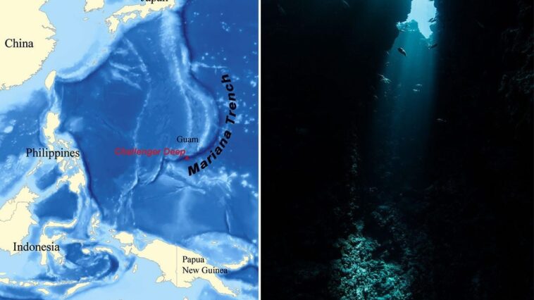 Dans la fosse océanique la plus profonde de la Terre, plus de 7000 espèces inconnues révélées ! 1 Le point le plus profond de la fosse des Mariannes, connu sous le nom de Challenger Deep, atteint 10.984 mètres / Wikipedia/iStock