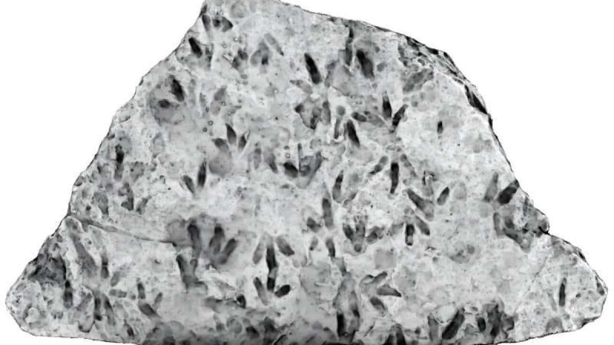Des empreintes de dinosaures découvertes dans une école : ignorées pendant des décennies ! 2 Une photo de la roche obtenue grâce à un imaging 3D et à des filtres lumineux montrant les empreintes des dinosaures / Crédit UQ