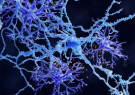 Des scientifiques ont découvert un type de cellule cérébrale inédit !