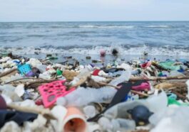 Des scientifiques révèlent comment les courants océaniques pourraient nettoyer nos mers de leurs déchets !