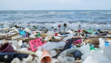 Des scientifiques révèlent comment les courants océaniques pourraient nettoyer nos mers de leurs déchets !