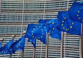 Firefox Renforce Sa Part De Marché En Europe Grâce à