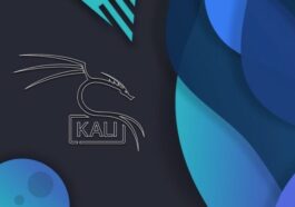 Kali Linux 2025.1a : une distribution Linux avec des outils puissants et intrépides