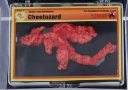 La frite en forme de Pokémon devient un phénomène : le Charizard frit vendu à un prix astronomique
