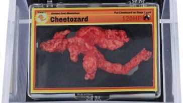 La frite en forme de Pokémon devient un phénomène : le Charizard frit vendu à un prix astronomique 8 La frite en forme de Pokémon devient un phénomène : le Charizard frit vendu à un prix astronomique