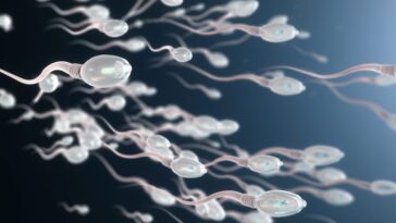 La qualité du sperme révèle l'espérance de vie des hommes : "Indique combien de temps ils peuvent vivre en plus" 24 Image