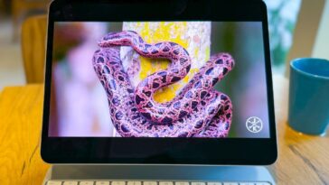 Le lancement de l'iPad Pro M5 pourrait négliger les mises à niveau des fonctionnalités 11 Le Lancement De Lipad Pro M5 Pourrait Negliger Les Mises.jpg