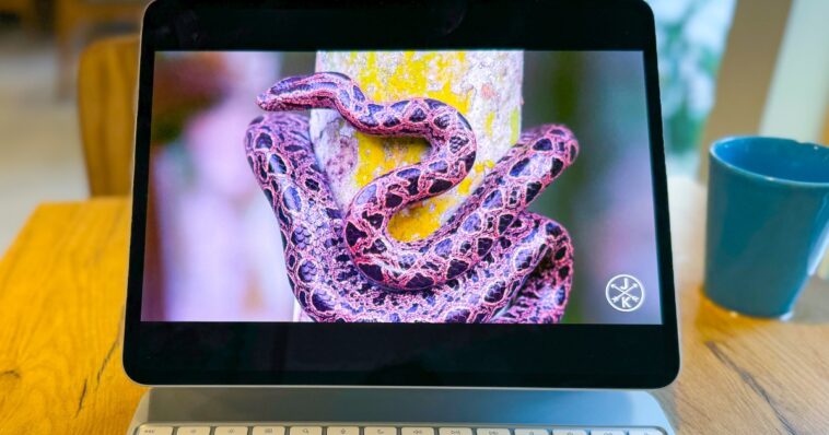 Le lancement de l'iPad Pro M5 pourrait négliger les mises à niveau des fonctionnalités 1 Le Lancement De Lipad Pro M5 Pourrait Negliger Les Mises.jpg