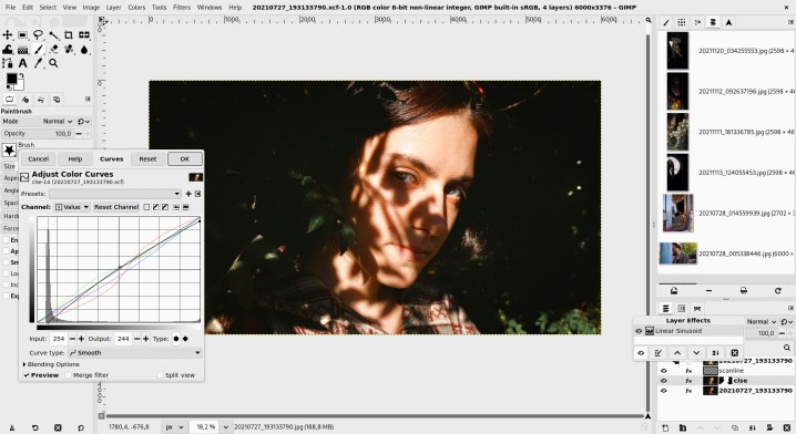 L'éditeur d'images open source GIMP fait son grand retour après sept ans d'absence 2 Filtre Non-destructif appliqué à un portrait