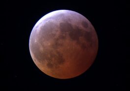 Éclipse de Lune totale du 14 mars. Crédit : Virtual Telescope Project / Gianluca Masi / Daniel Brousseau