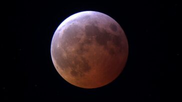 Les magnifiques images de l'éclipse lunaire totale du 14 mars : un spectacle captivant du début à la fin 25 Éclipse de Lune totale du 14 mars. Crédit : Virtual Telescope Project / Gianluca Masi / Daniel Brousseau